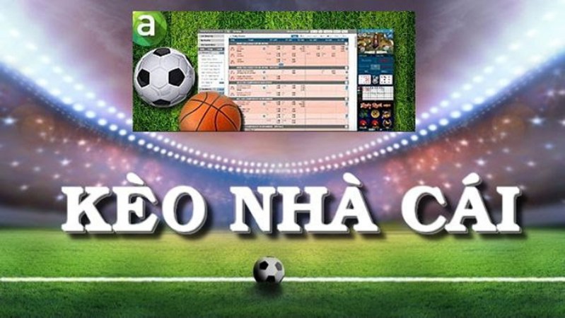 Nên làm đại lý cho nhà cái nào để nhận lời cao 1 Nên hay không nên làm đại lý?